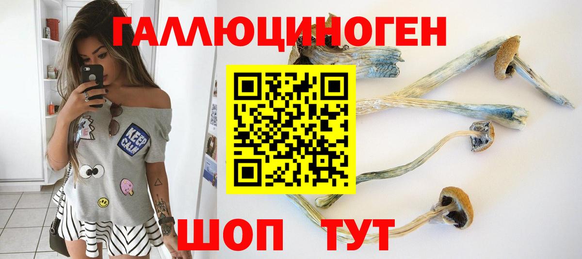 Псилоцибиновые грибы Psilocybe  Вход с VPN  Ейск  Галлюциногенные грибы прущие грибы 